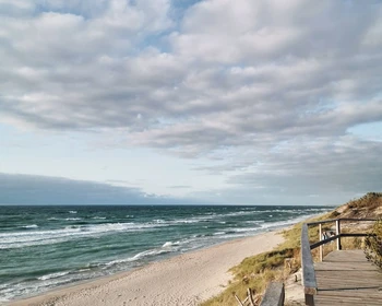 Куршская коса, Танцующий лес, Зеленоградск и обед из местной рыбы