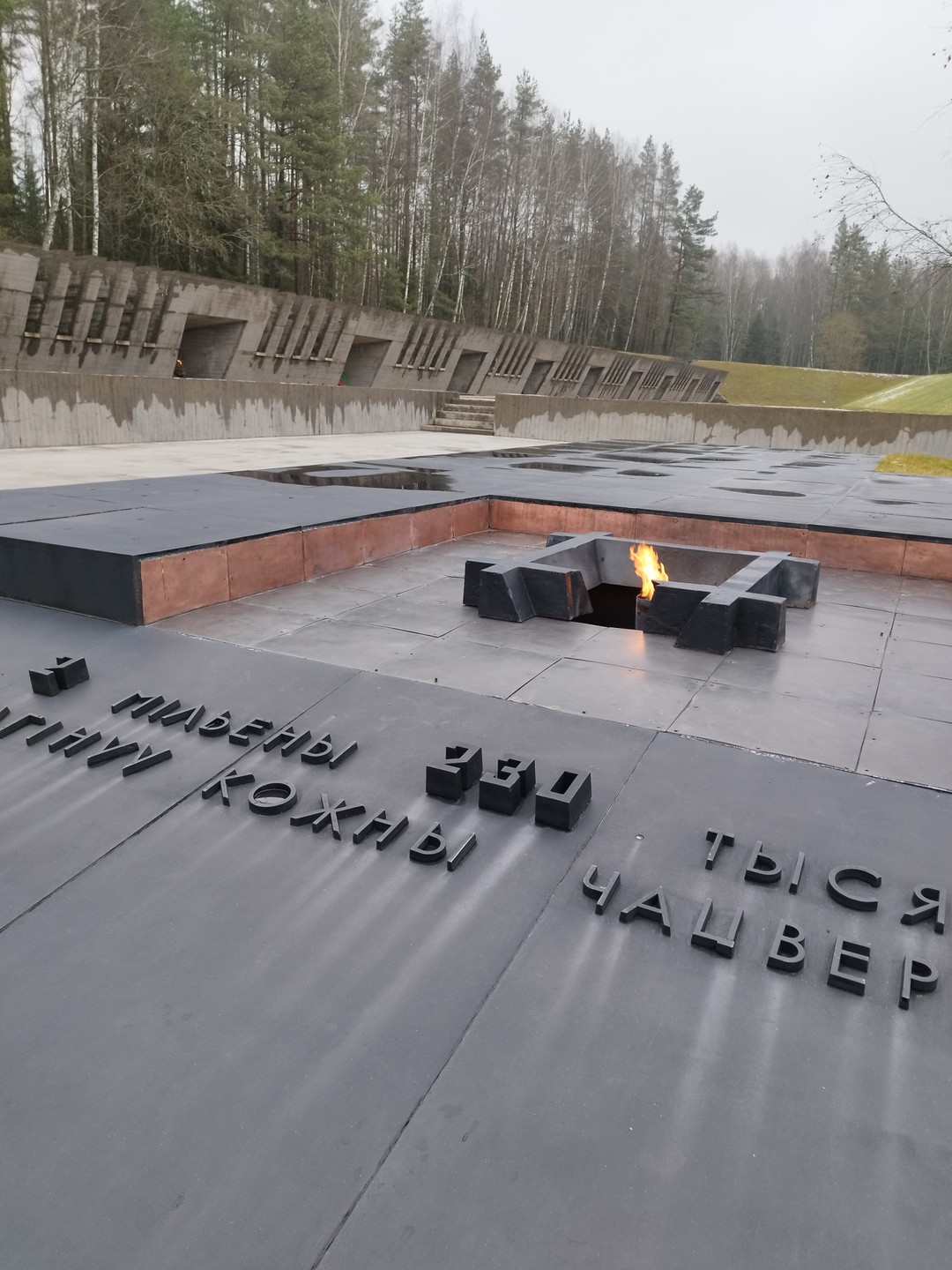 Прекрасная хорошо организованная экскурсия. Надежда - грамотный и приятный для восприятия гид. Тема тяжелая. Очень здорово