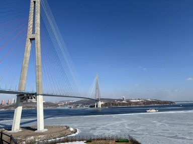 Фото отзыва 3: экскурсия "Лучшее на Русском острове: охватить самое важное за 1 день"