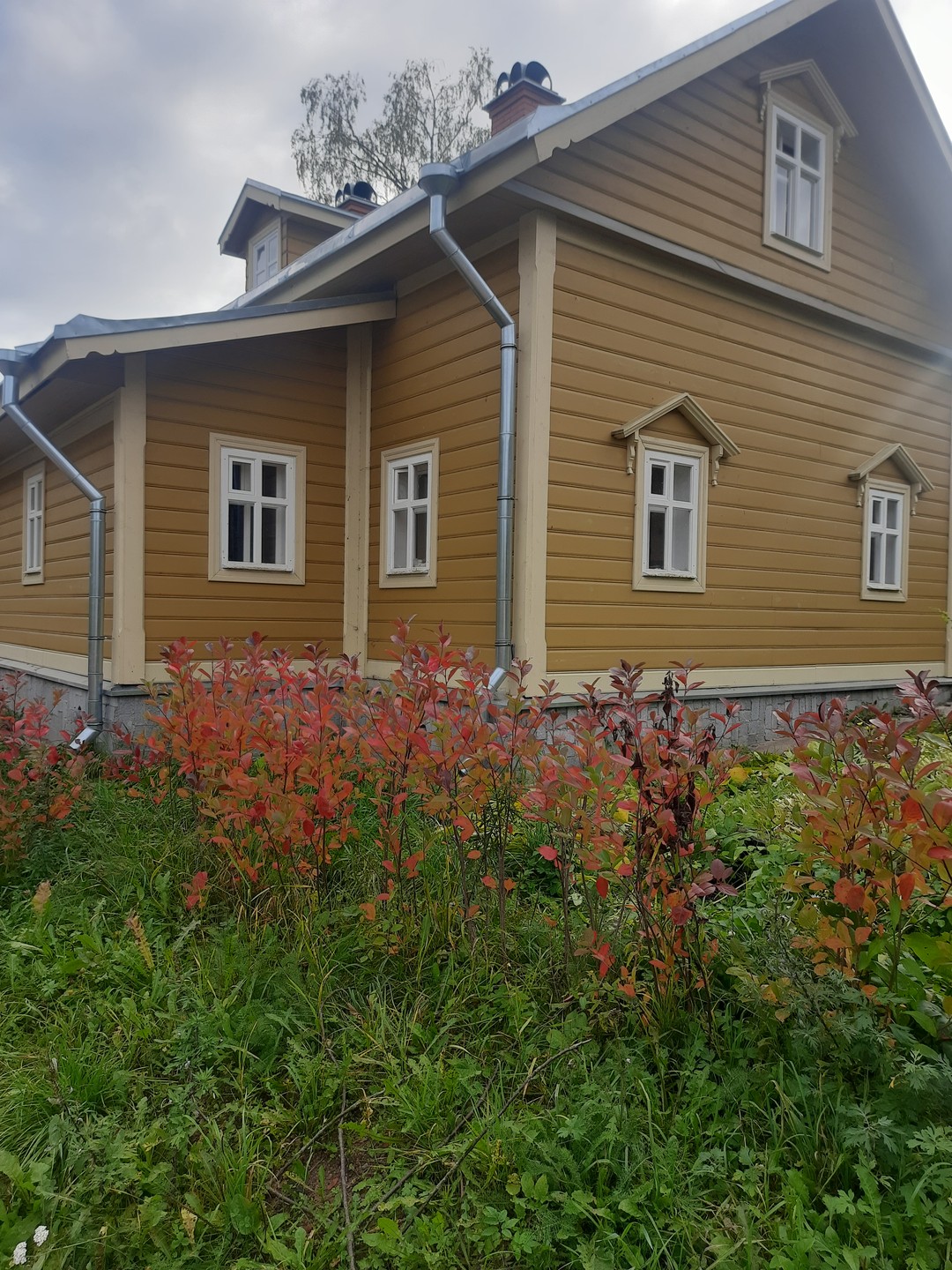 Валаам, Ладожские шхеры и остров Хонкасало: красота и душа Карелии (Елена)