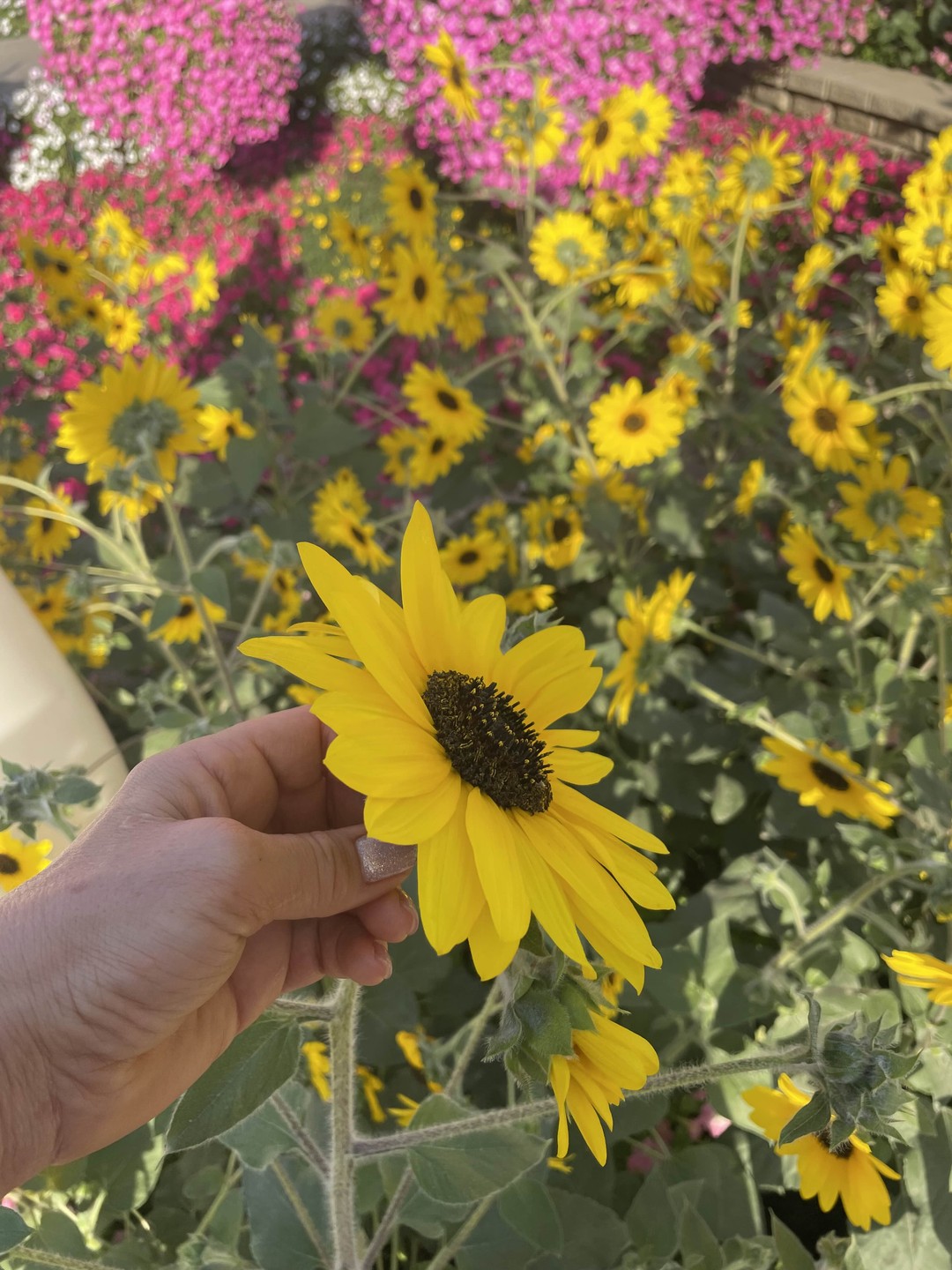 Прекрасный гид Азиз!!! Нам крупно повезло! Обширные знания страны,обычаи, религии народов,законы!!!