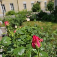Фото отзыва 1: экскурсия "В окрестностях Кремля: Пречистенка и Волхонка. Индивидуальная экскурсия"
