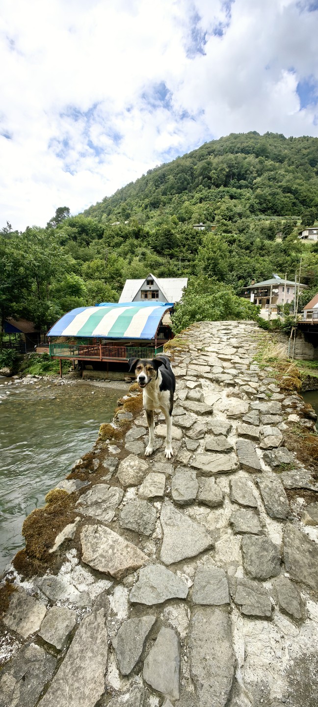 Эх, если бы можно было поставить оценку 100, а не просто 5!