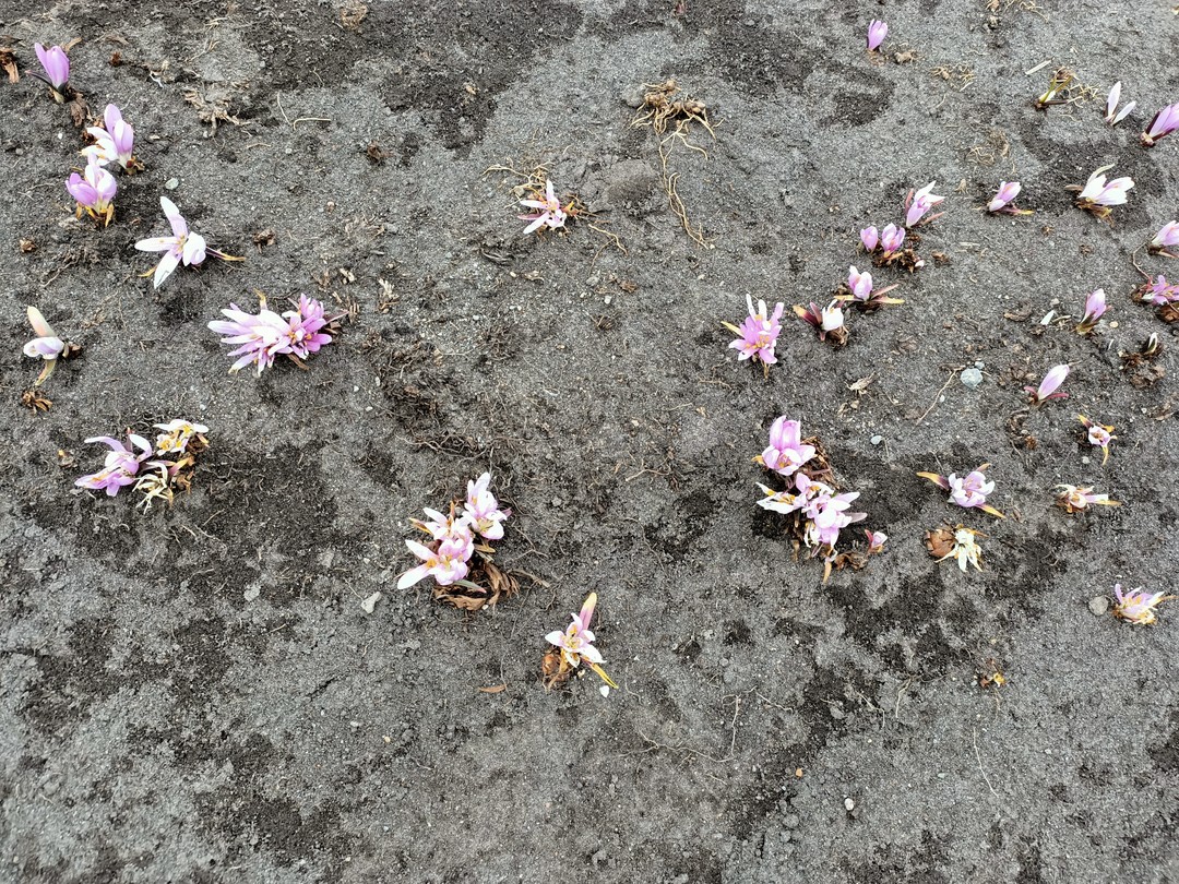 Сегодня 30 марта ездили на экскурсию с Владимиром из команды Андрея. Все прошло отлично!!! Важно: прекрасное