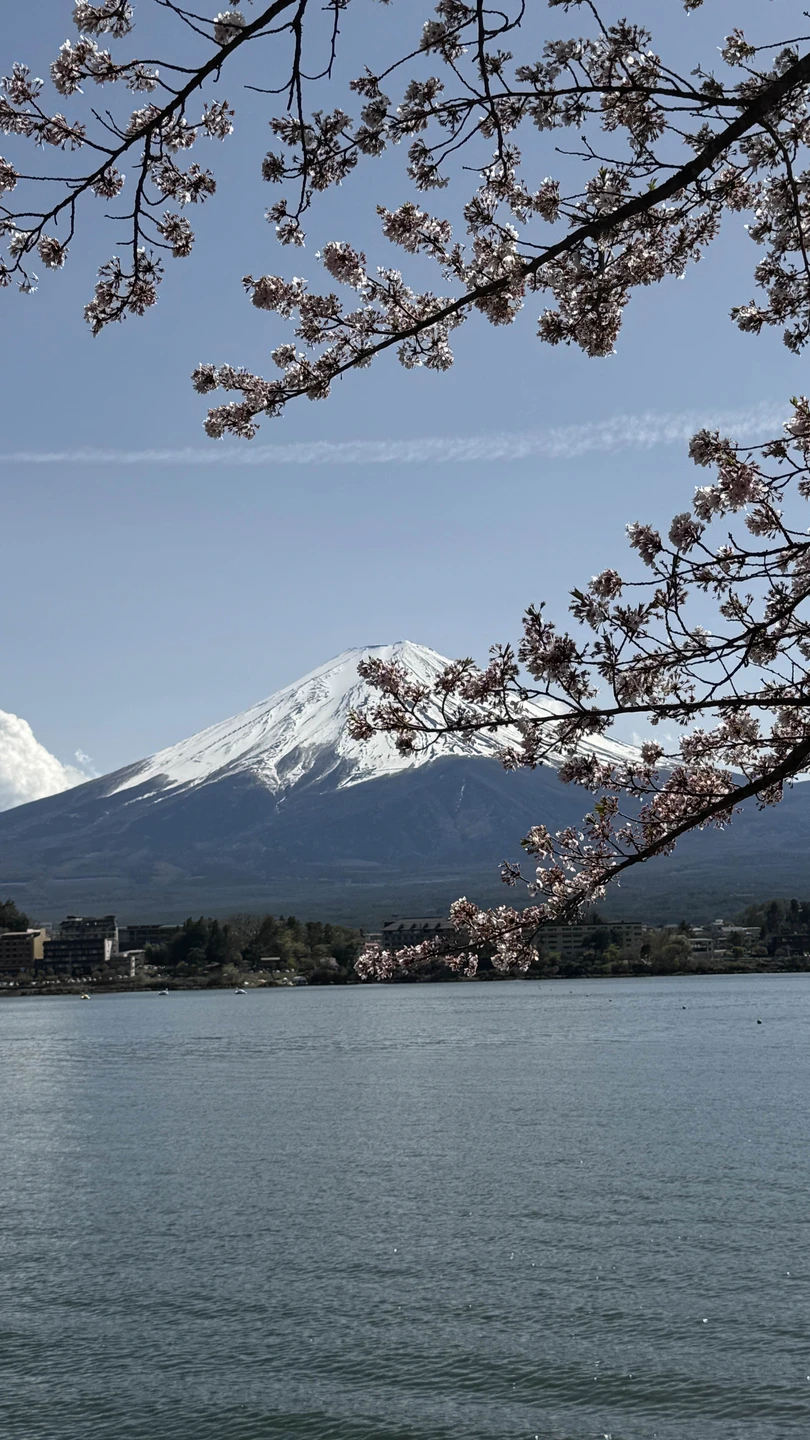 Япония покорила с первой минуты! Программа очень насыщенная. Спасибо Евгении за то что задавала нам верный