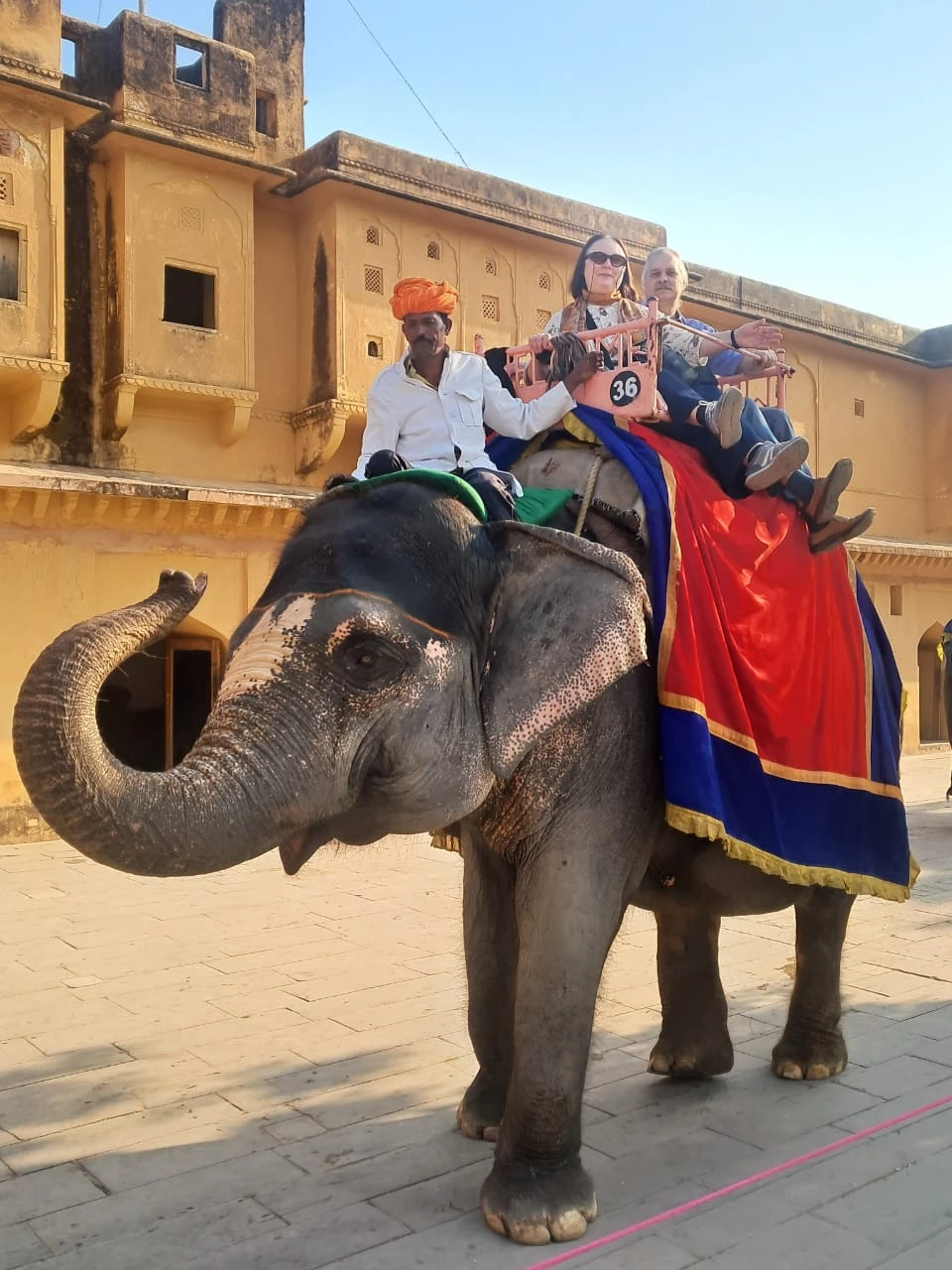 В ноябре 2025 г. мы с мужем путешествовали по "золотому треугольнику" Индии (Дели – Агра –