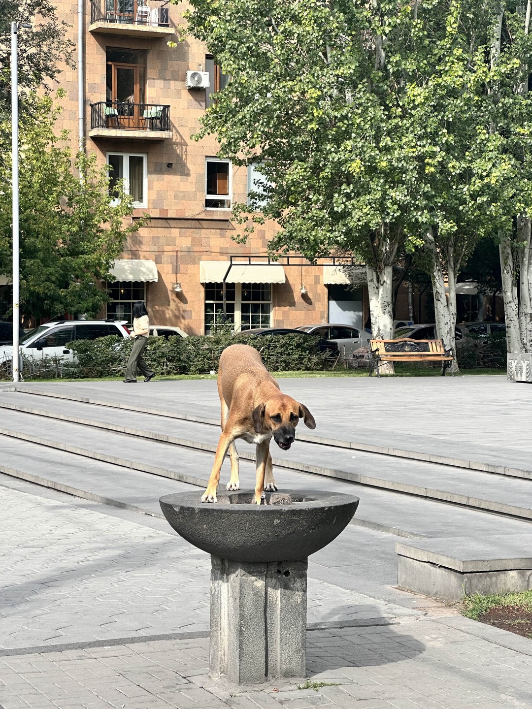 Я была первым и единственным посетителем экскурсии у Давида 27.09.24. Об этом узнала в конце, и