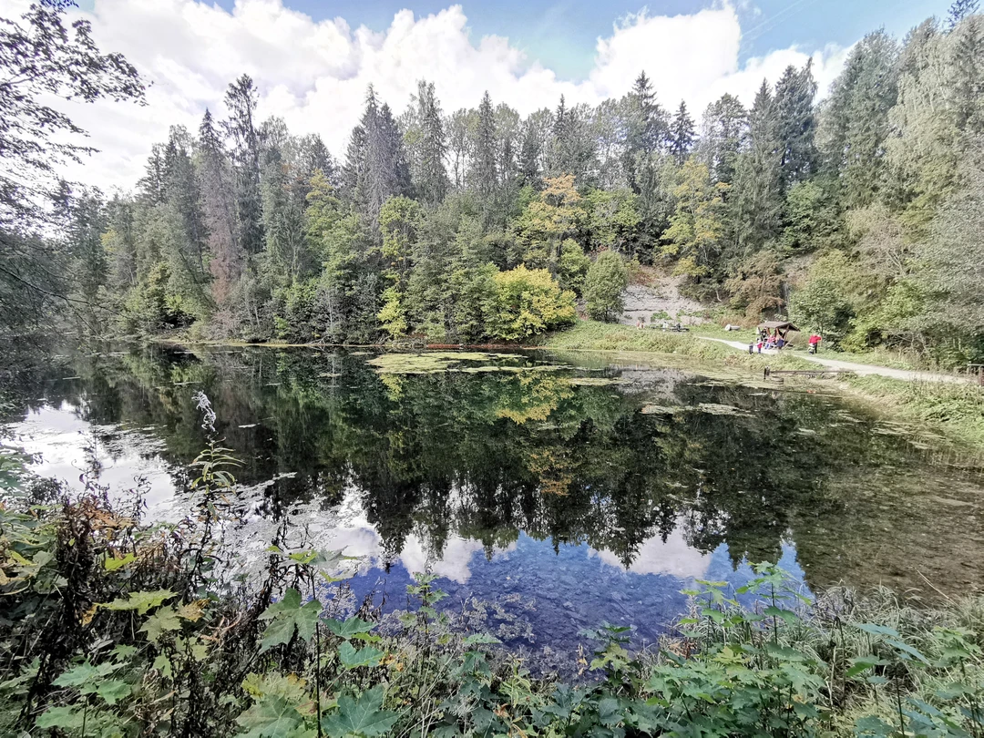 Всё прошло замечательно, маршрут оптимальный для однодневной поездки.