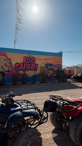 На квадроциклах в группе: сафари в Шарм-эль-Шейхе (Алена)