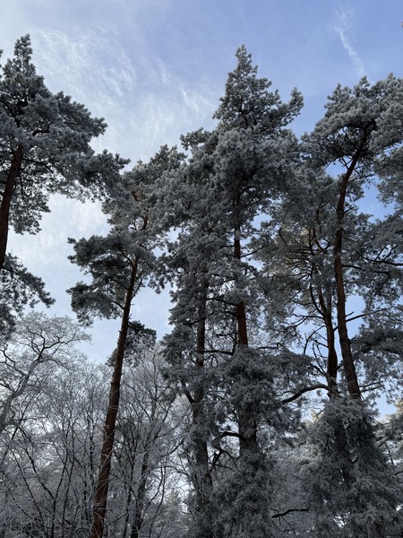 Без сухих фактов,погружение в природу и атмосферу места! Но отдельное спасибо хочется сказать за те моменты,которые