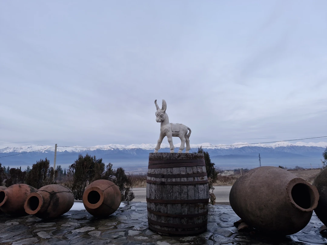 Групповая поездка в Кахетию: Бодбе, Сигнахи и Цинандали (Юлия)