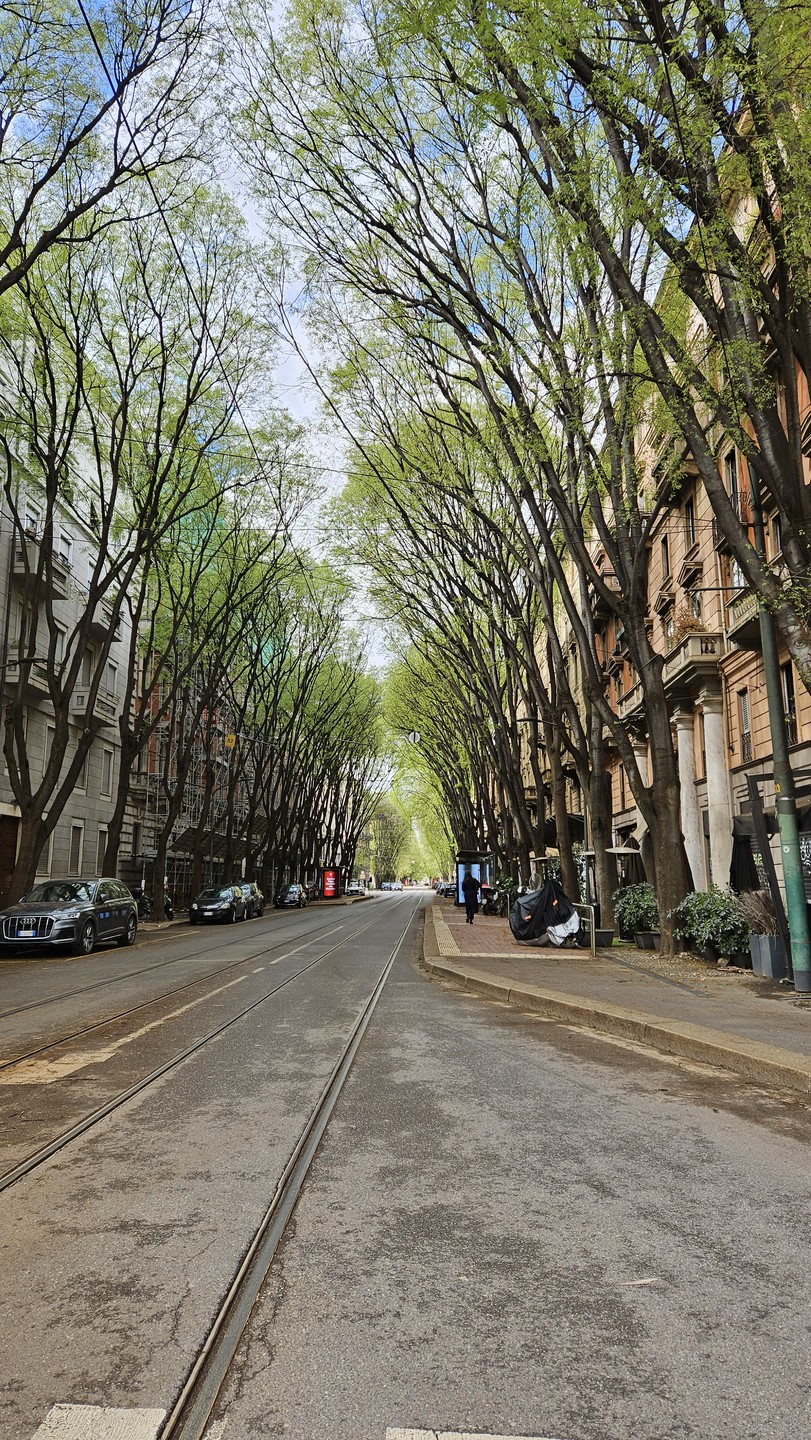 Следами Лeoнapдo Да Винчи в Милане (Ирина)