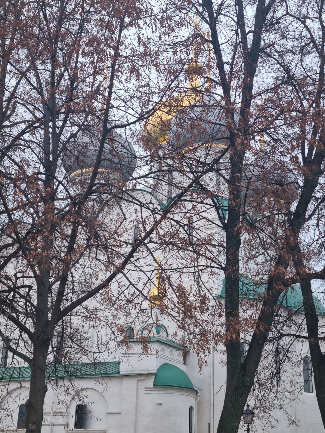 Во-первых, прекрасный гид! Катерина всегда пунктуальная, всегда подготовлена дополнительным материалом в виде фото или даже предметов