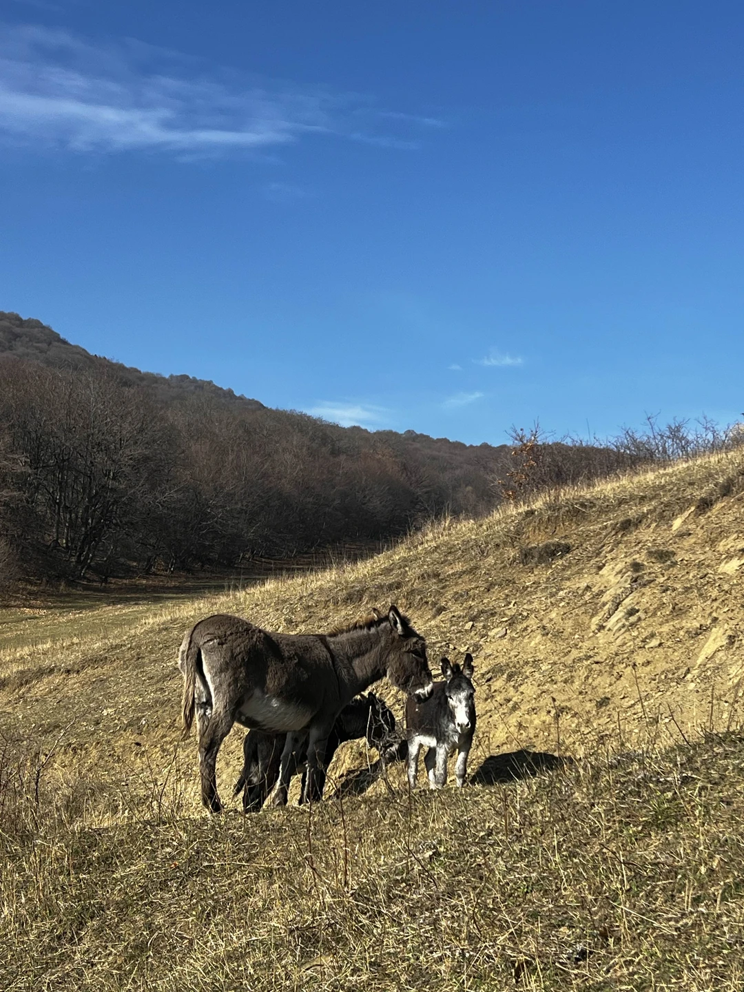 Невероятно красиво ❤️ несмотря на то, что я была одна, для меня провели экскурсию, побывала в