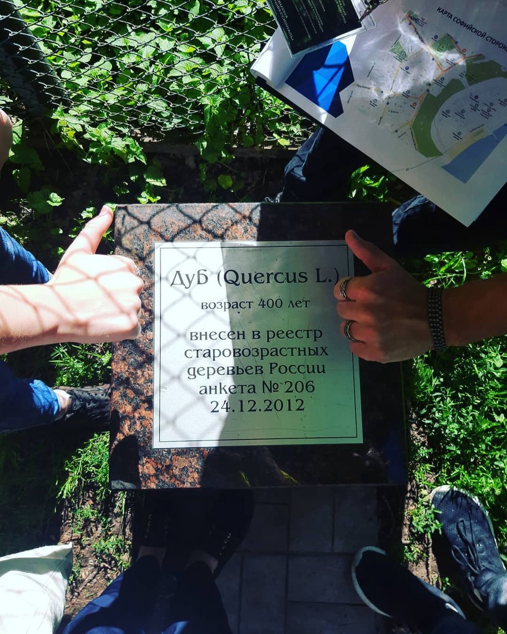 Занимательный квест для детей (9+) (3/7)