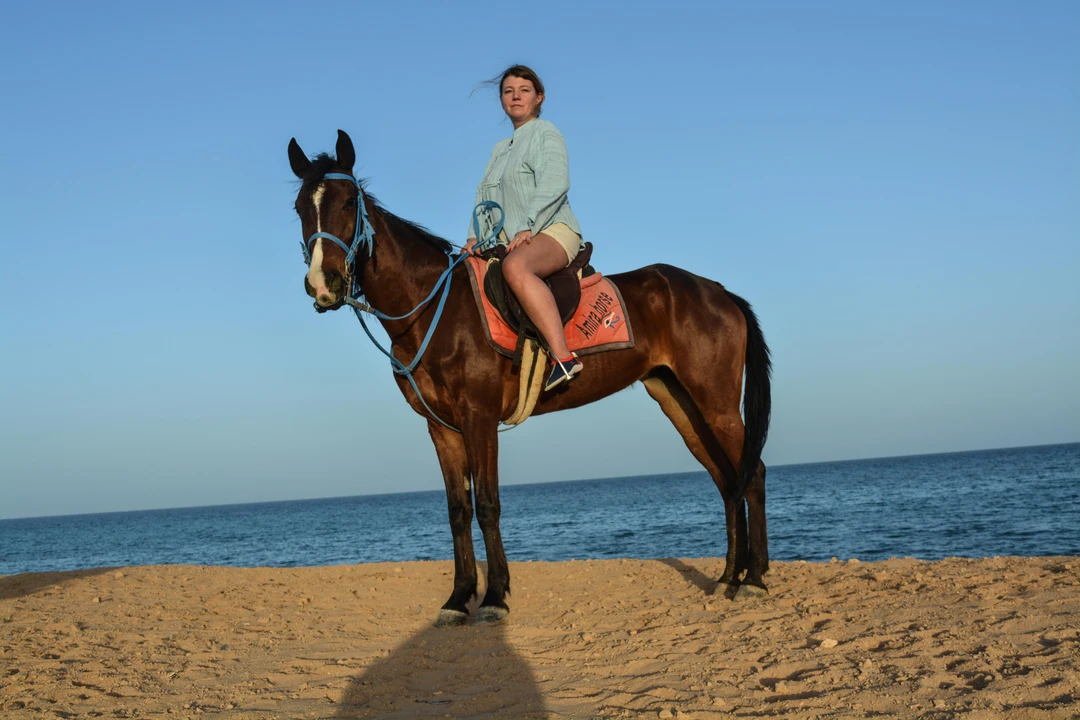 Поздновато поставили время, хотелось конечно зайти в воду с лошадью, но, как говорится, будет повод вернуться