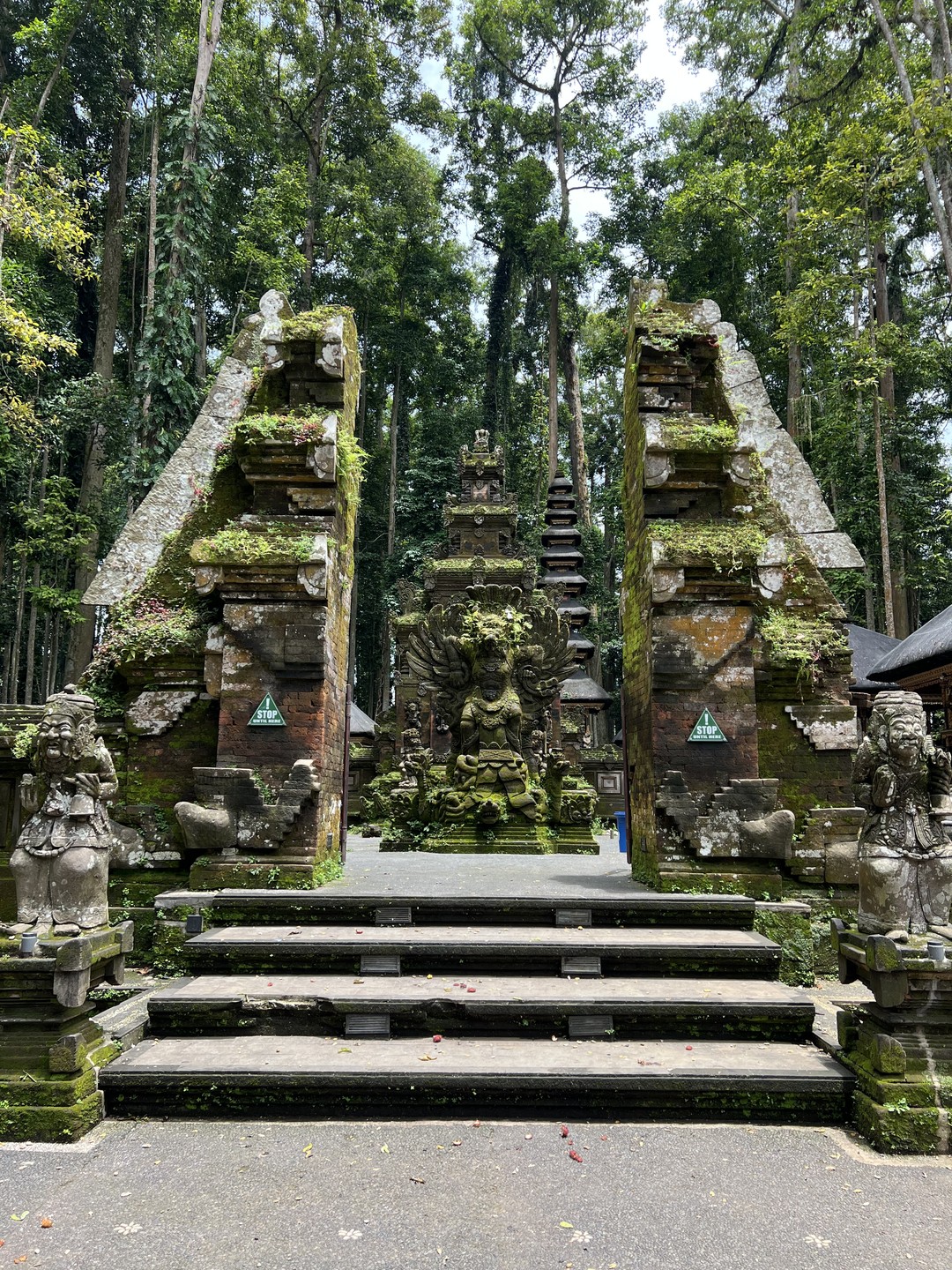 Экскурсия была потрясающей! Ваян чудесный рассказчик и веселый человек! Отлично говорит по-русски. Экскурсия не оставила нас