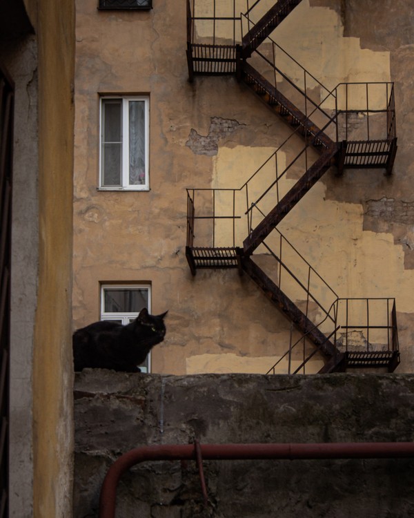 Фото экскурсии 5