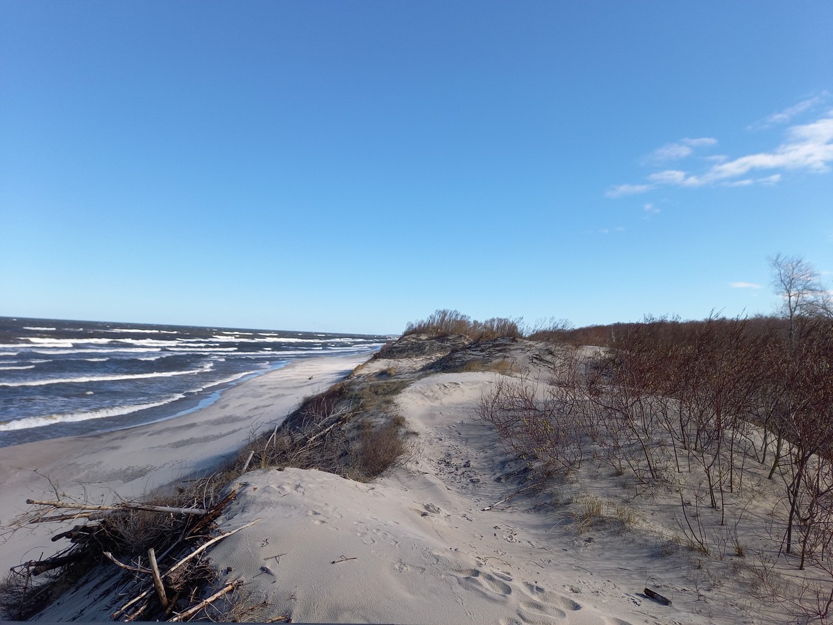 Увлекательные выходные: Калининград и курортные городки с местным гидом