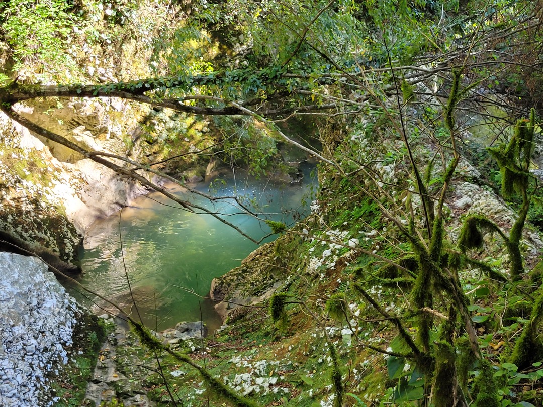 Замечательно провели день в Абхазии! были и на термах и в Сухум и в ущелье и