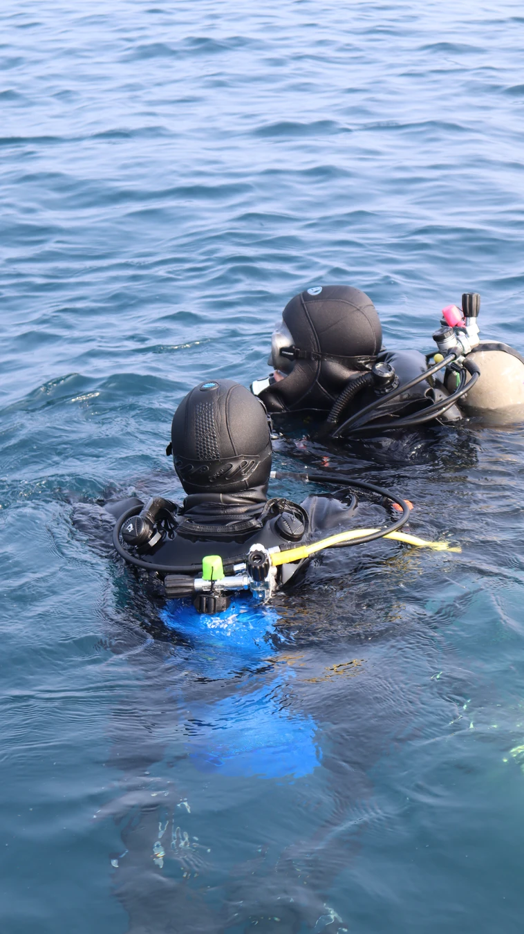 Дайвинг у островов Приморья (6/13)