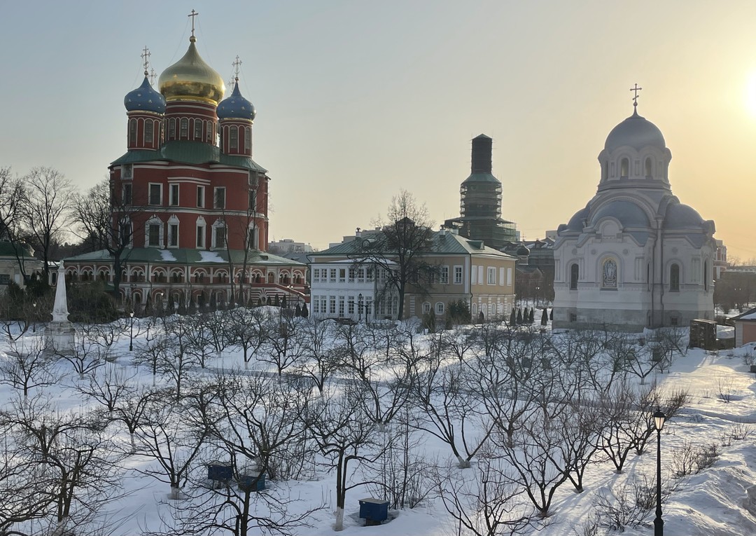 Донской монастырь: от Рюриковичей до патриарха Тихона (Валентина)
