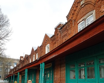 Променад по Калязину, творческий мастер-класс, посещение улиточной фермы с дегустацией, конное шоу