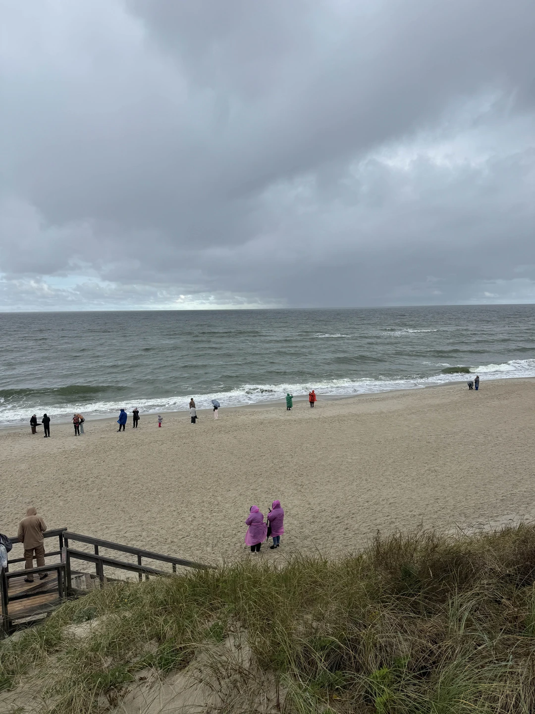 Экскурсия понравилась. Вкусная дегустация вначале, интересный рассказ по дороге на Куршскую косу и обратно и конечно же сама Куршская коса