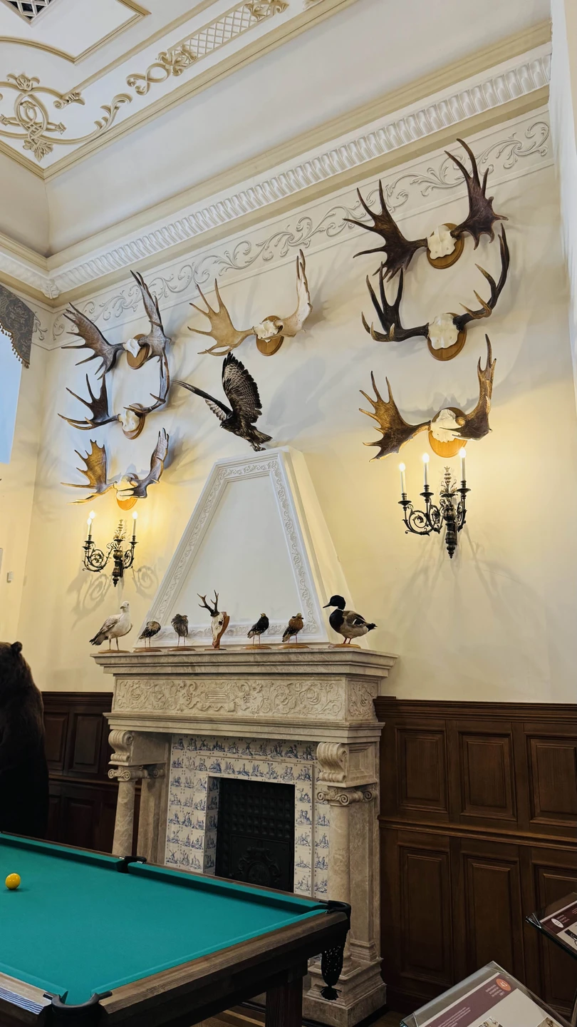 Замки Беларуси: групповая экскурсия в Мир и Несвиж из Минска (Мария)