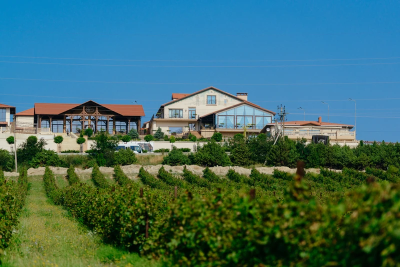 Путешествие в Шато Пино: виноградники, улитки и ретро-авто