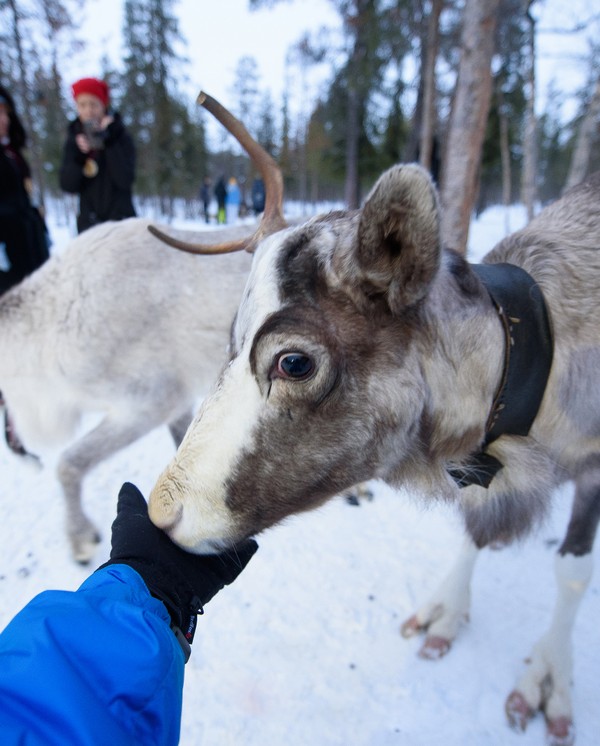 Виды Из Мурманска — в гости к саамам