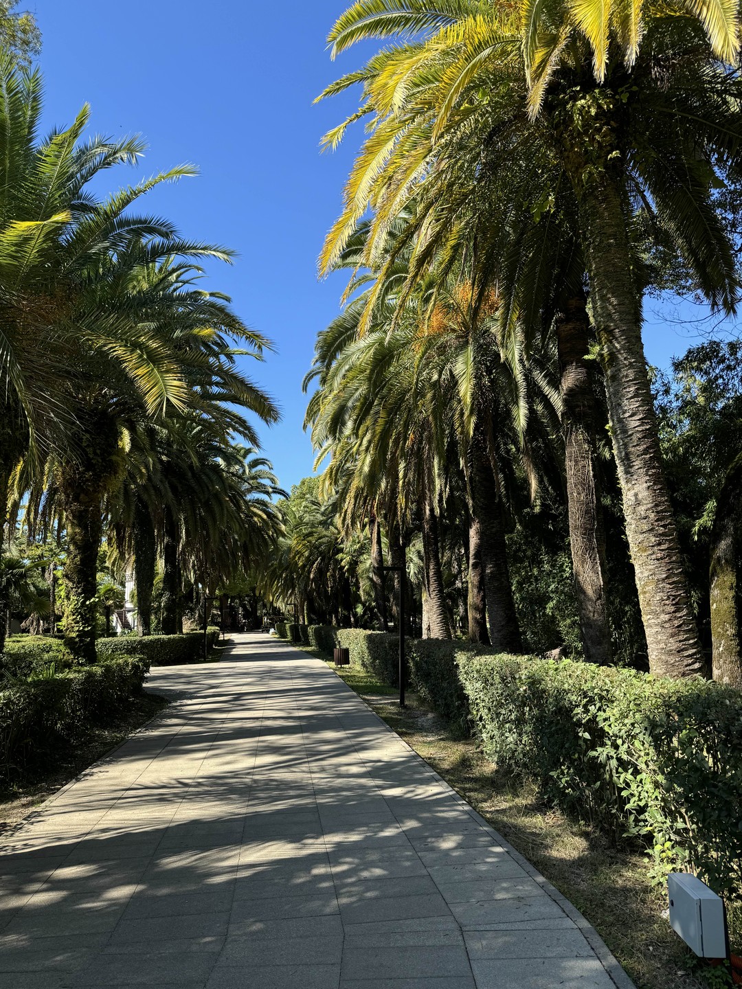 Потрясающий день!