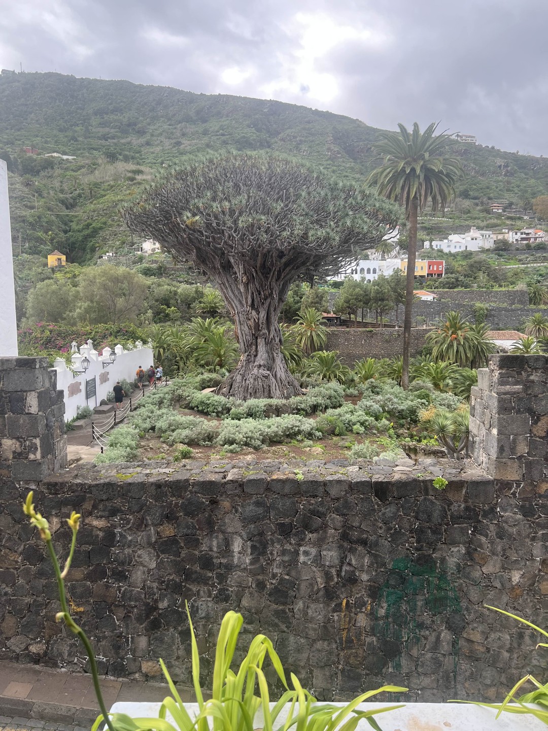 Экскурсия с Константином оставила положительное впечатление. Маршрут был хорошо продуман, рассказ — информативный и интересный. Экскурсия