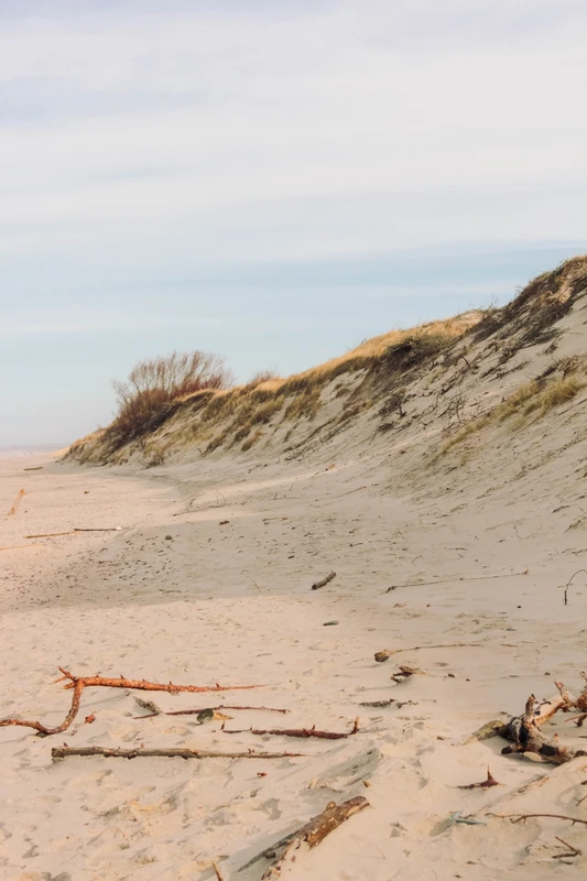 Виды Куршская коса: земля древних куршей и великанши Неринги (из Калининграда)
