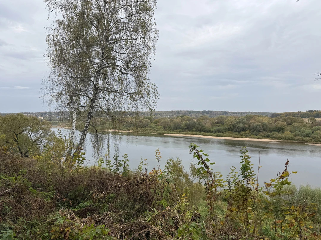 Приятный гид, очаровательная девушка, подробно рассказала обо всех известных писателях, поэтах и знаменитостях, связанных с Тарусой