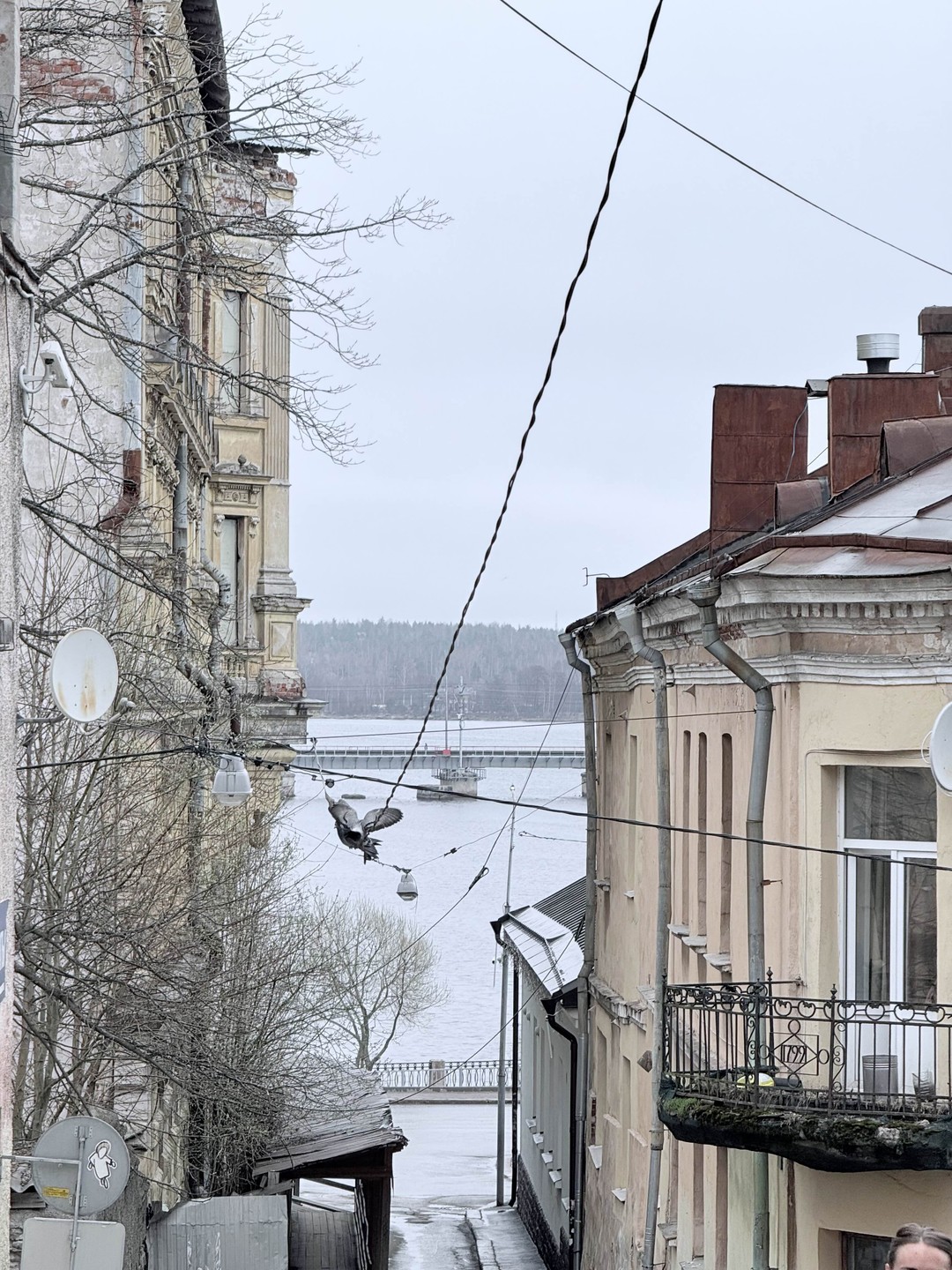 Влюбиться в Выборг за 2 часа (Елена)