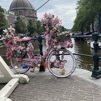 Фото путешественника — 7