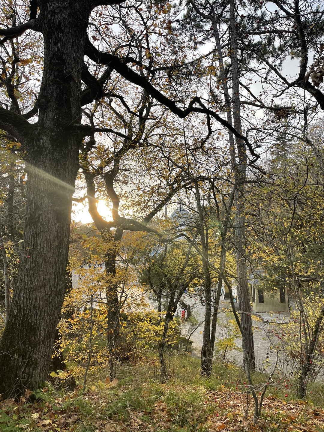 Теперь мы всей компанией хотим на экскурсии только к Марине!