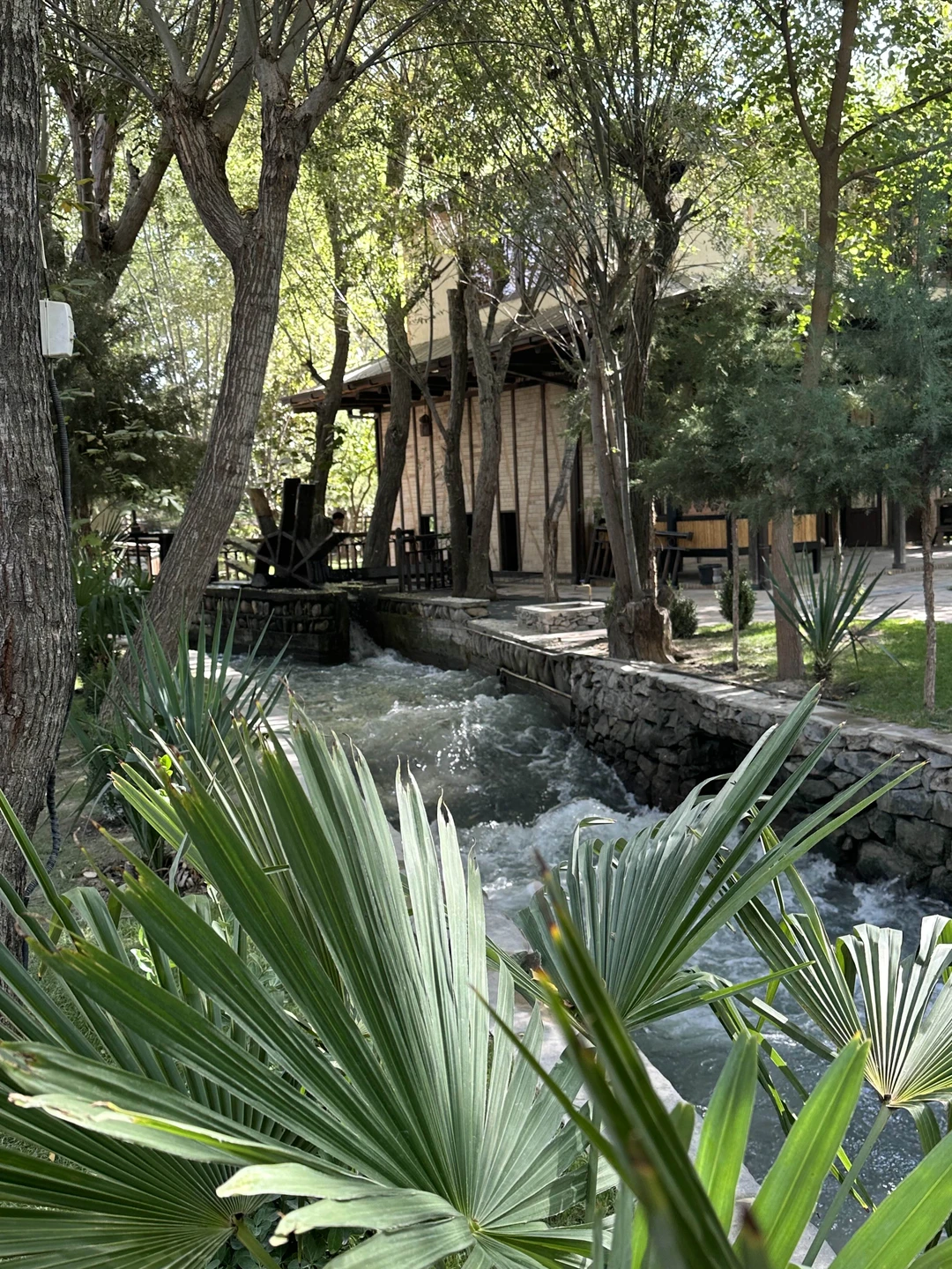 Были в октябре на экскурсии. Нам все понравилось, гид Фируз очень интересно рассказывал о местном быте и местах куда мы заезжали