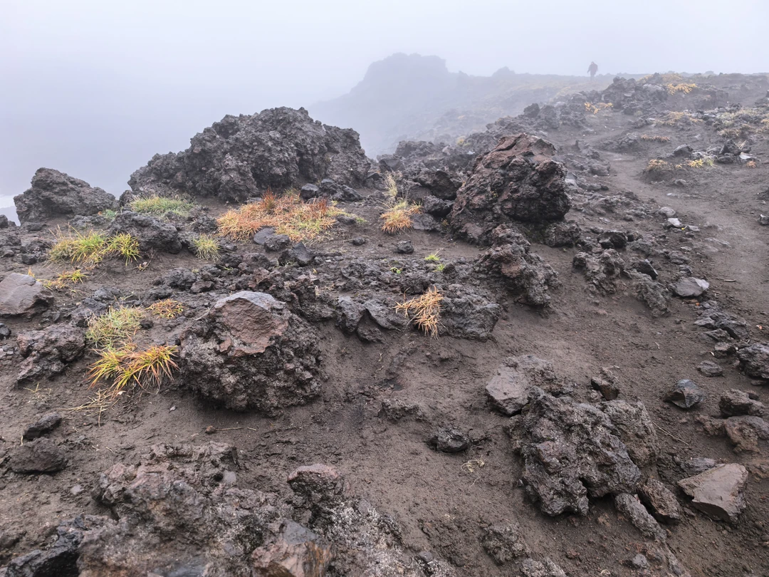 Путешествие на джипе на вулкан Горелый с восхождением (Анна)