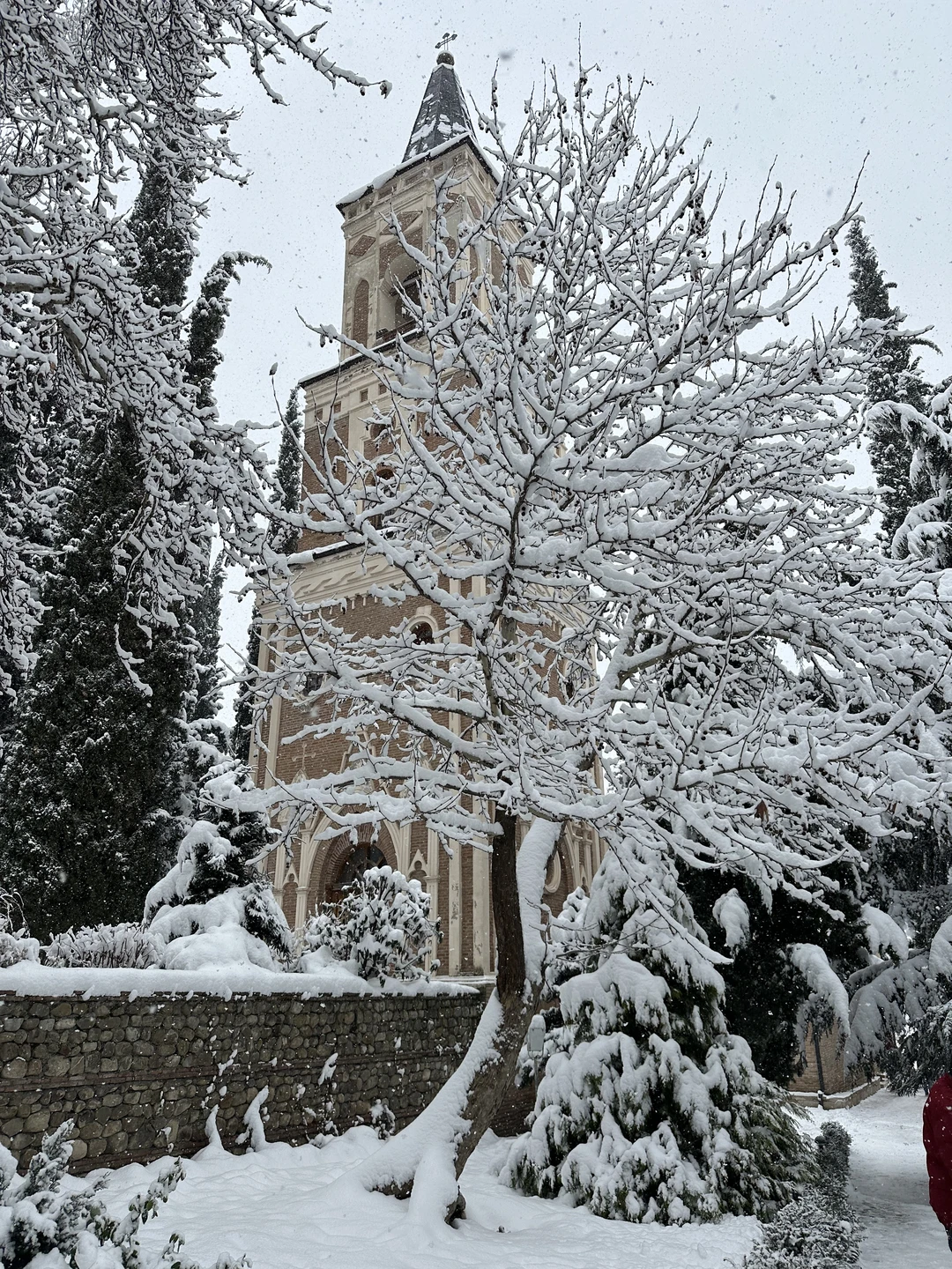 Кахетия: вино, легенды и красота (в группе) (Юлия)