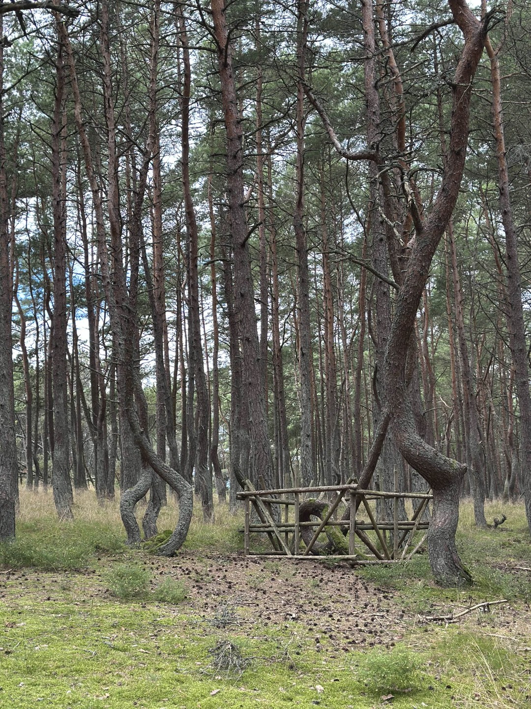Авторский фототур по балтийскому побережью (Ксения)