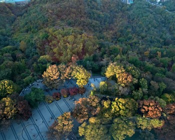 Перелёт в Сеул, вылет домой