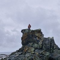 reviews img