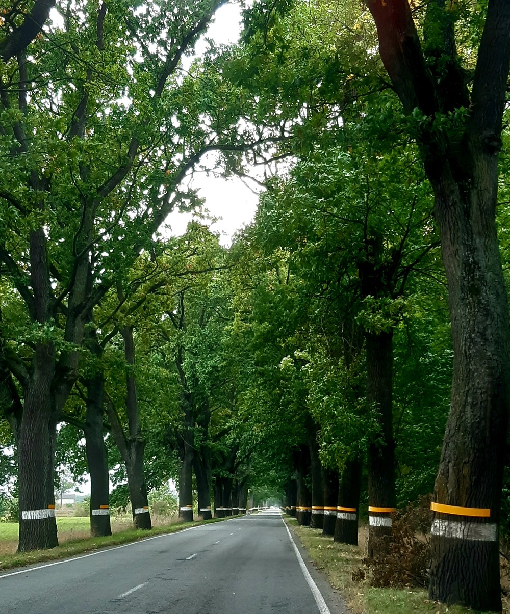 Едем на Восток! Знакомство с историей малых городов (7/7)