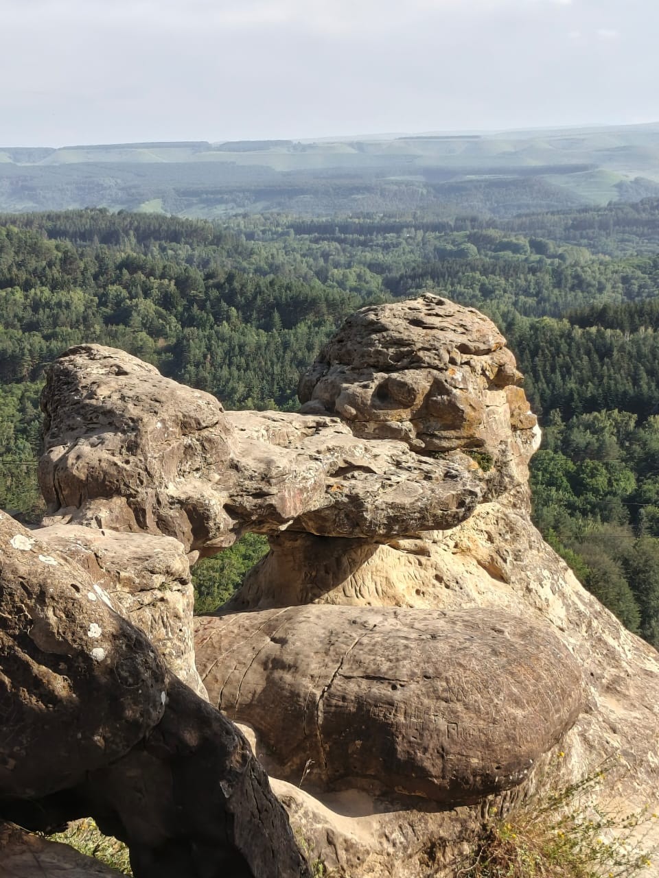 И это все - Кавказские Минеральные Воды (Оксана)