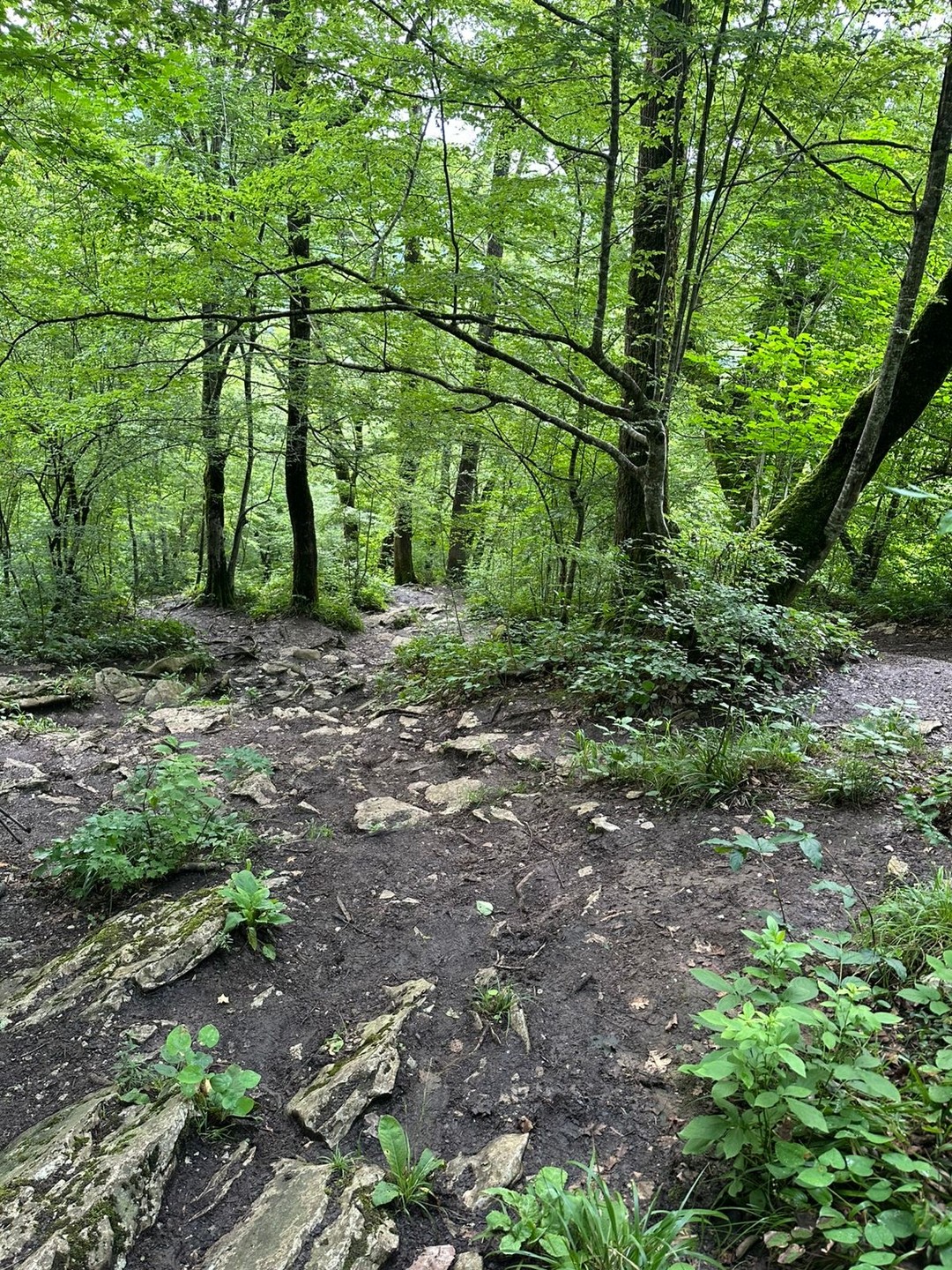 Давно мечтали подняться в горы! ⛰️❤️