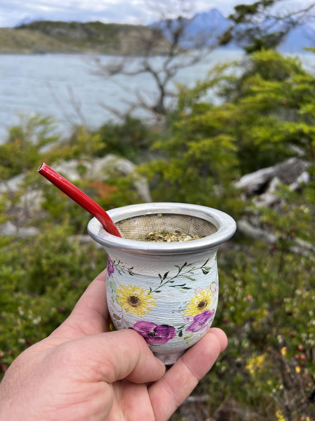 Самые лучшие рекомендации Дмитрию! Отличный гид и прекрасный собеседник. Дмитрий встретил нас по прилету в аэропорту,