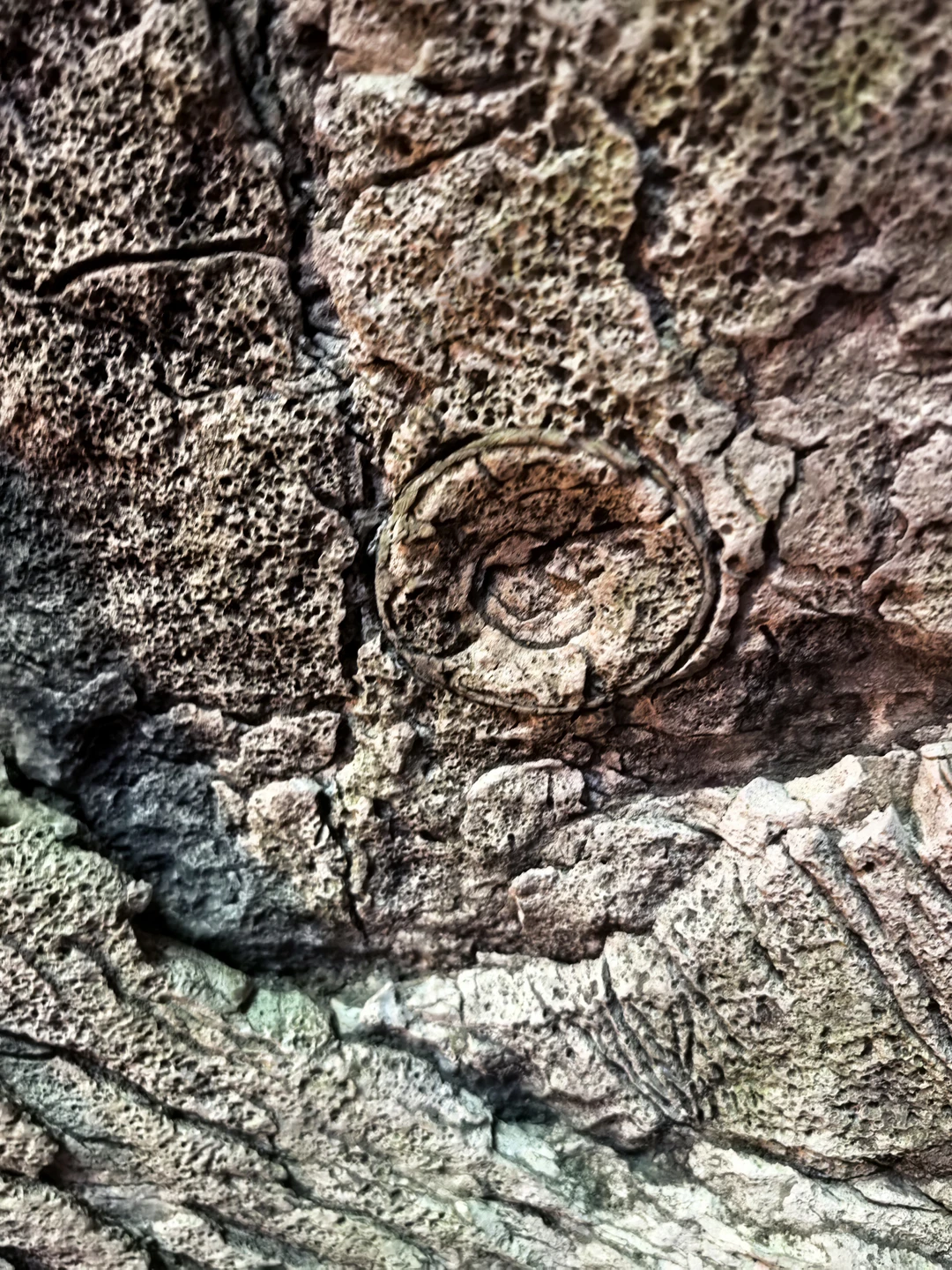 Экскурсия прошла очень успешно, посетили все что запланировали и даже больше, если ехать в сторону скайпарка