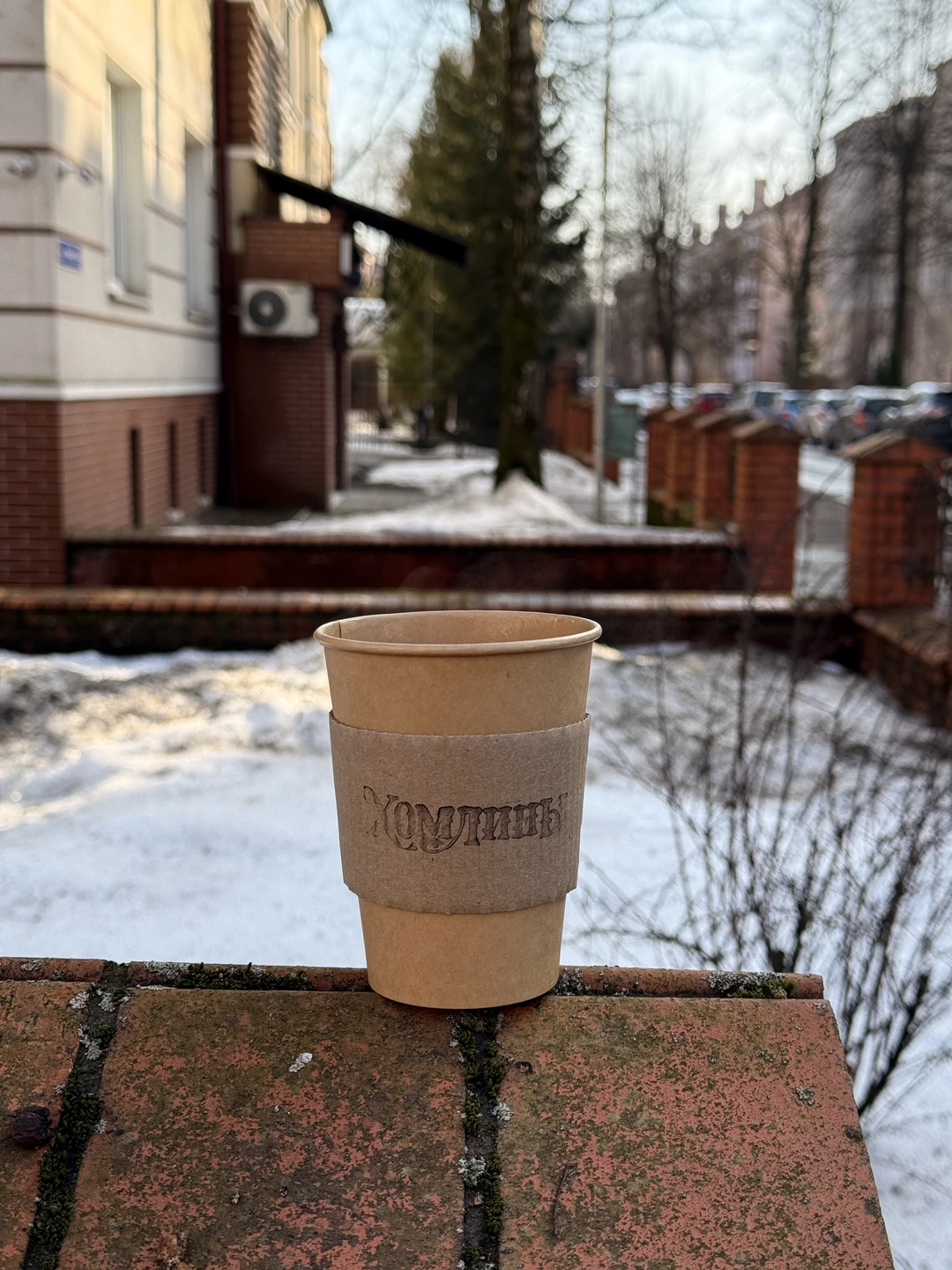 Амалиенау - в поисках Кёнигсберга (Екатерина)